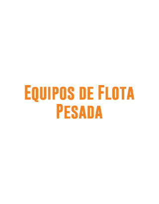 Equipos de Flota Pesada